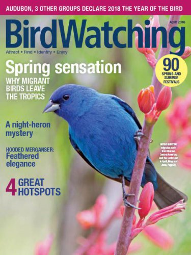 BirdWatching USA (March-April) 2018