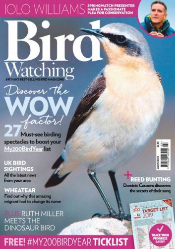 Bird Watching №3 2019 | Редакция журнала | Живая природа | Скачать бесплатно