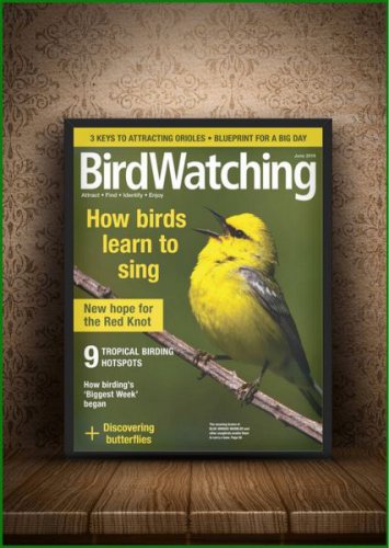 BirdWatching Vol.33 3 2019
