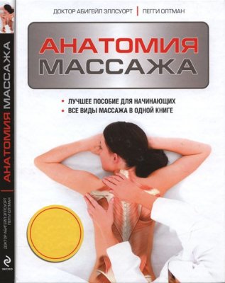 Анатомия массажа