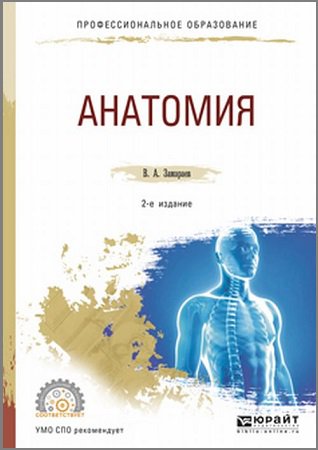 Анатомия | Замараев В.А. | Научная литература | Скачать бесплатно