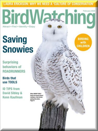 BirdWatching USA Vol.34 1 2020 |   |   |  