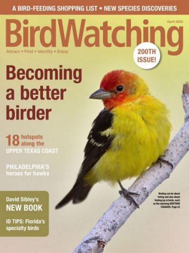 BirdWatching USA Vol.34 2 2020 |   |   |  