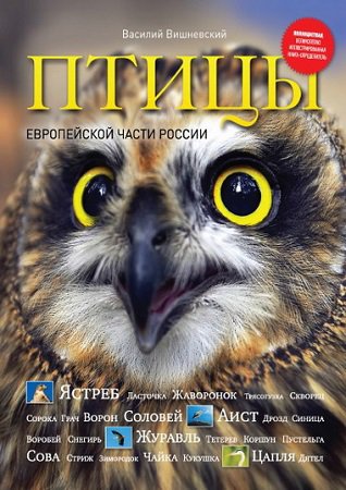 Птицы европейской части России | Вишневский В.А. | Живая природа | Скачать бесплатно