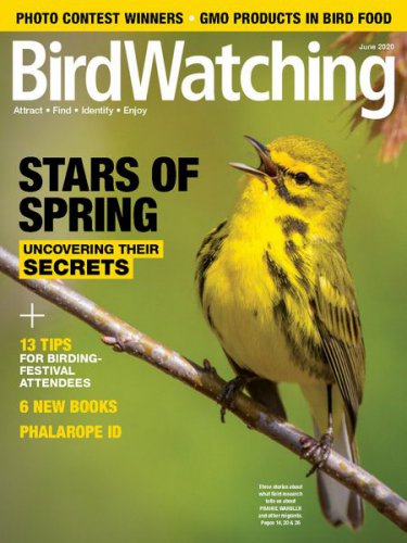 BirdWatching USA Vol.34 3 2020 |   |   |  
