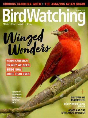 BirdWatching USA Vol.34 4 2020 |   |   |  