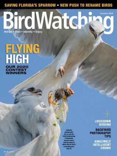 BirdWatching USA Vol.34 5 2020 |   |   |  