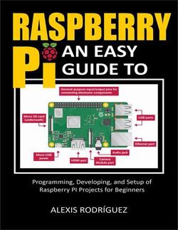 Raspberry Pi: An Easy Guide to Programming, Developing, and Setup of Raspberry PI Projects for Beginners