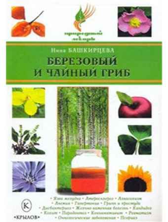 Березовый и чайный гриб | Нина Башкирцева | Народная медицина | Скачать бесплатно