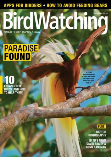 BirdWatching USA Vol.34 6 2020