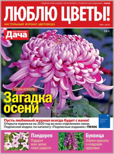 Люблю цветы №9 2019 | Редакция журнала | Дом, сад, огород | Скачать бесплатно