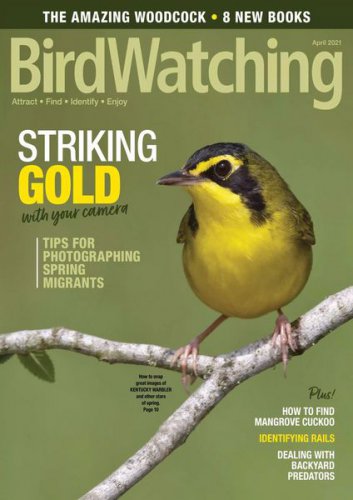 BirdWatching USA Vol.35 2 2021 |   |   |  