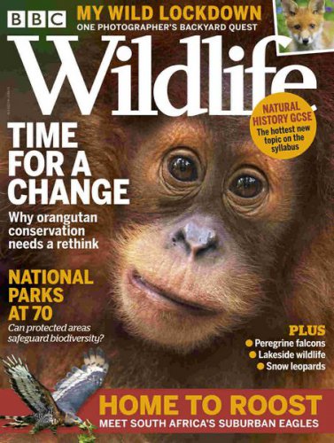 BBC Wildlife Vol.39 4 2021