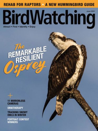 BirdWatching USA Vol.35 3 2021