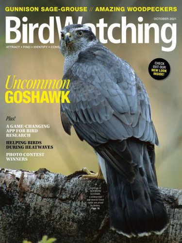 BirdWatching USA Vol.35 5 2021