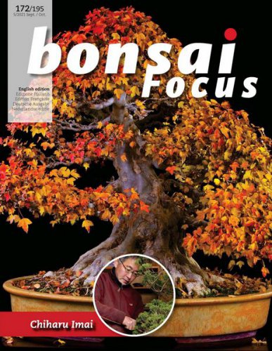 Bonsai Focus 5 (172), 2021 |   | , ,  |  