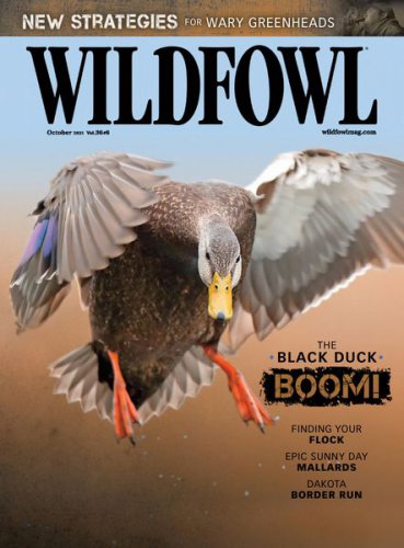 Wildfowl Vol.36 №6 2021 | Редакция журнала | Охота, рыбалка, оружие | Скачать бесплатно