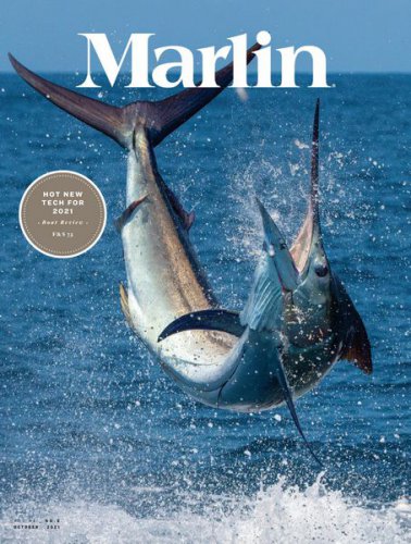 Marlin Vol.40 6 2021 |   | , ,  |  