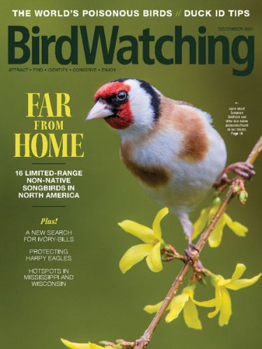 BirdWatching USA Vol.35 №6 2021 | Редакция журнала | Живая природа | Скачать бесплатно