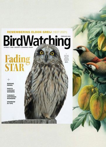 Bird Watching USA Vol.36 №1 2022 | Редакция журнала | Живая природа | Скачать бесплатно