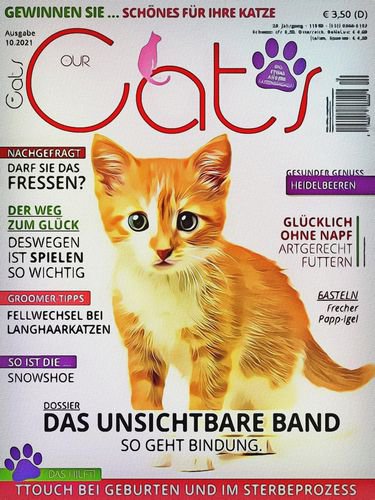 Our Cats №10 2021 | Редакция журнала | Живая природа | Скачать бесплатно
