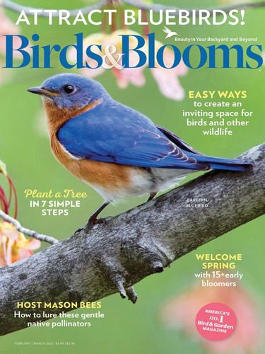 Birds & Blooms Vol.28 №1 2022