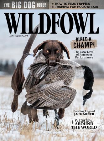 Wildfowl Vol.37 №2 2022 | Редакция журнала | Охота, рыбалка, оружие | Скачать бесплатно