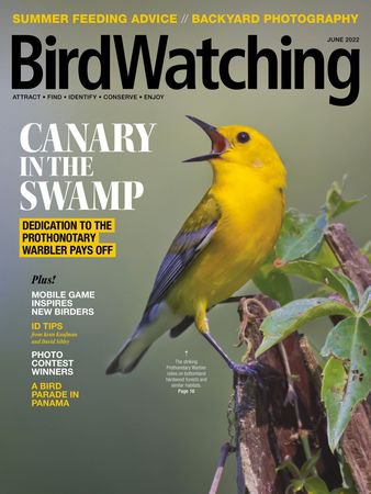 BirdWatching USA Vol.36 №3 2022 | Редакция журнала | Живая природа | Скачать бесплатно