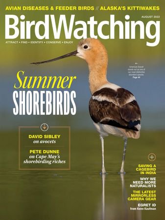 BirdWatching USA Vol.36 №4 2022 | Редакция журнала | Живая природа | Скачать бесплатно