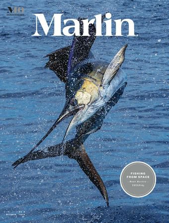 Marlin Vol.41 6 2022 |   | , ,  |  