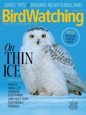 BirdWatching USA Vol.36 №6 2022 | Редакция журнала | Живая природа | Скачать бесплатно