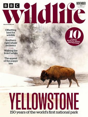 BBC Wildlife Vol.40 №12 2022
