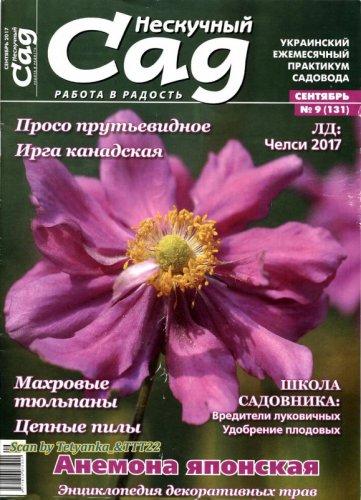 Нескучный сад № 9 (131) сентябрь 2017 | Редакция журнала | Дом, сад, огород | Скачать бесплатно