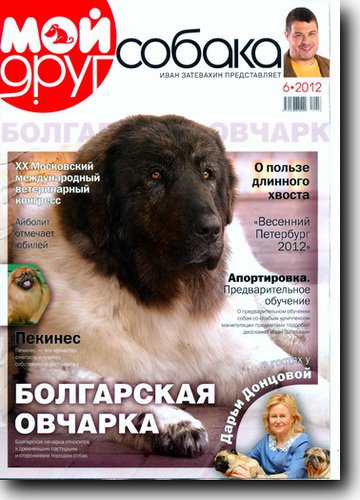 Мой друг собака №6 2012