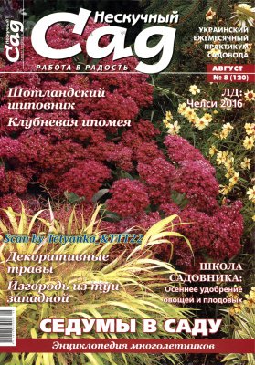 Нескучный сад № 8 2016 | Редакция журнала | Дом, сад, огород | Скачать бесплатно