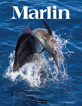 Marlin 278 2024